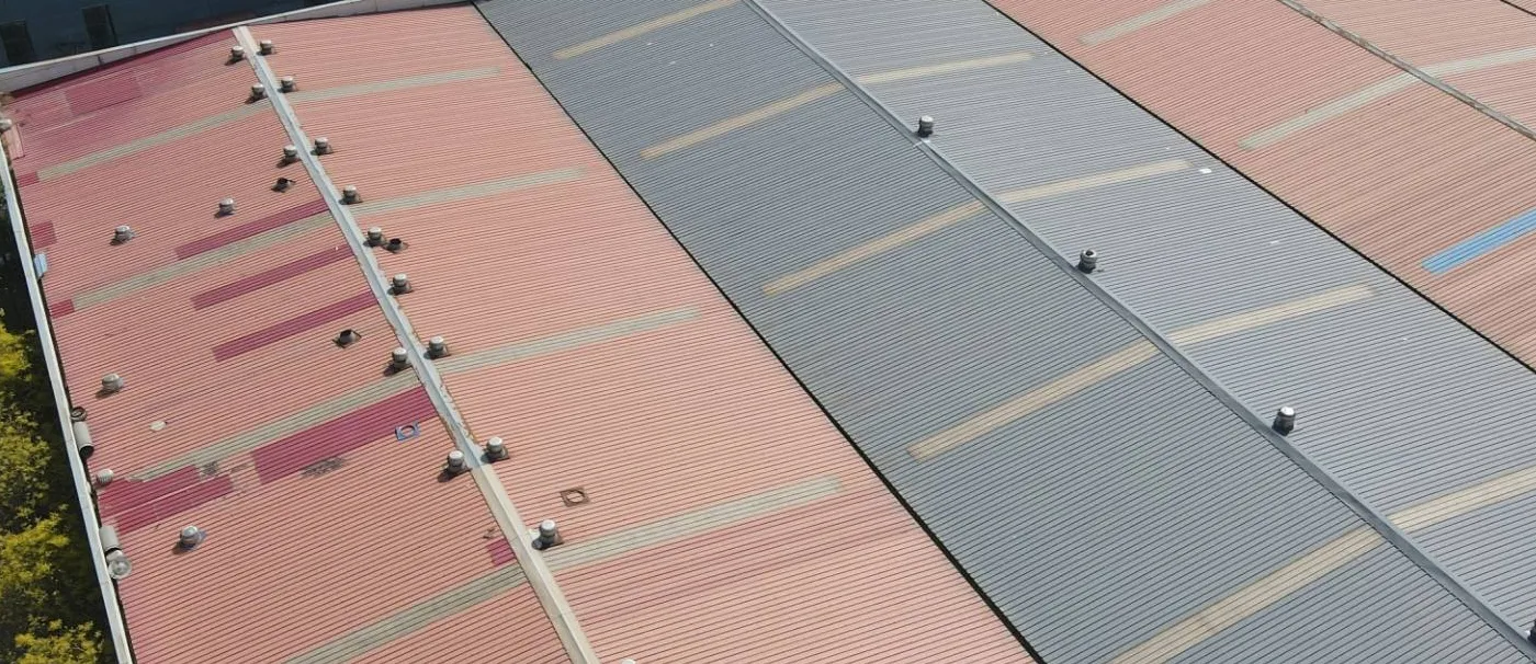 Dashang Wire Mesh Dashang Wire Mesh